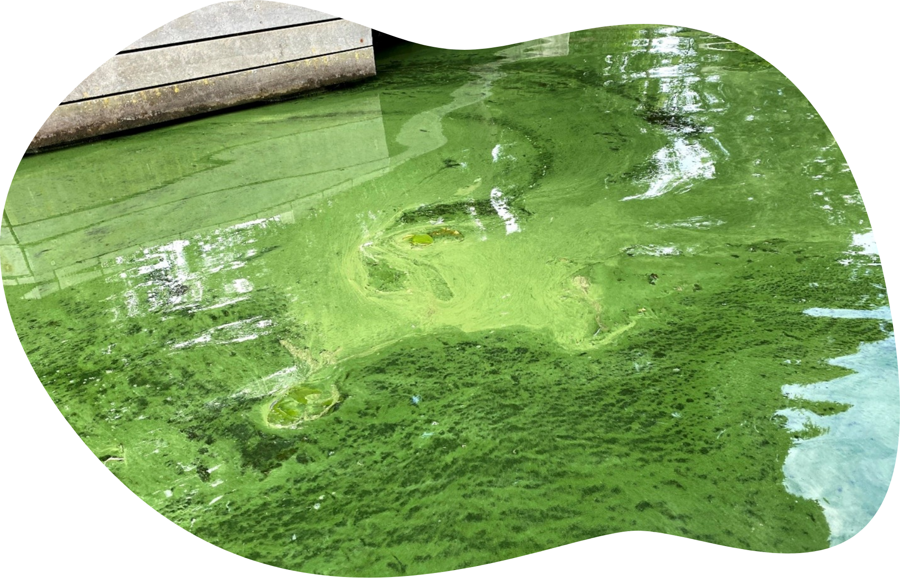 FERRO Open Call illustration