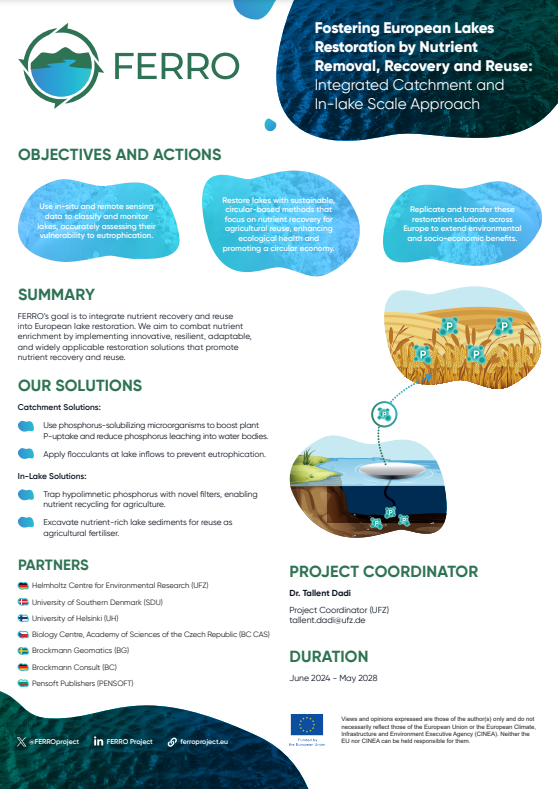 FERRO Poster preview