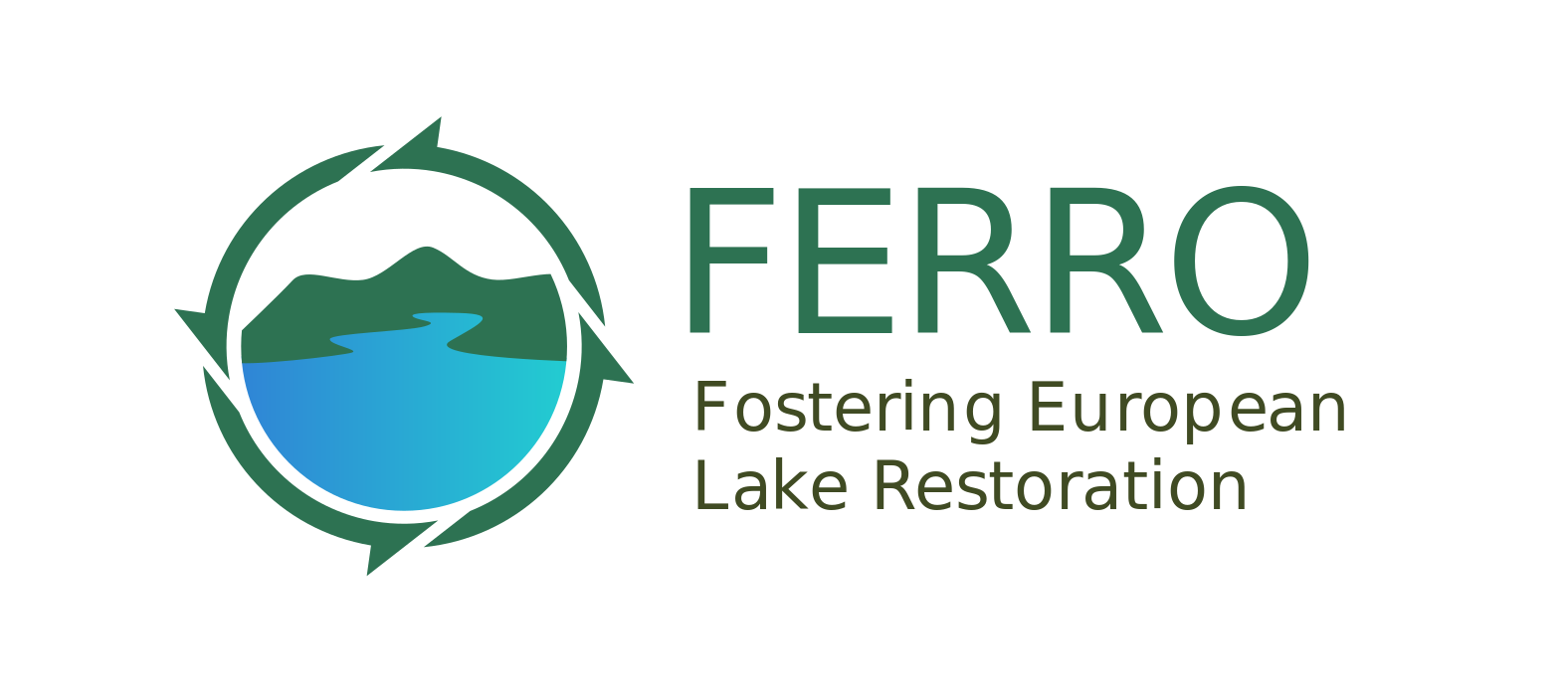 FERRO Logo logo preview