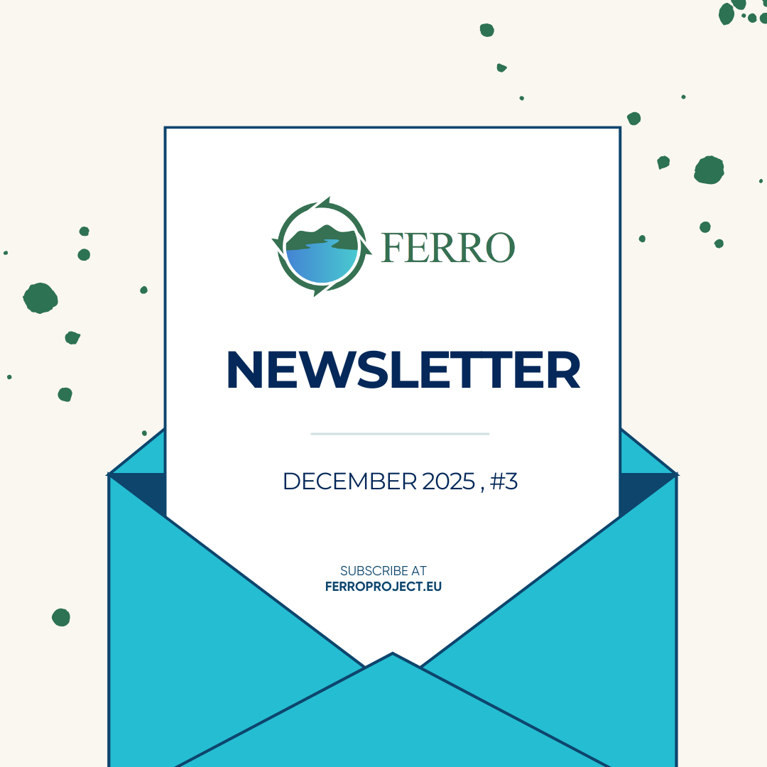 FERRO Newslettwer #3 newsletter cover