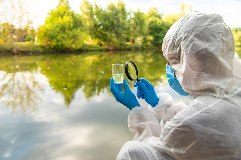 Understanding sediment phosphorus dynamics offers new insights for lake restoration