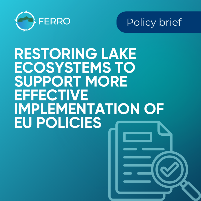 New policy brief supports MissionLakes initiative through joint project collaboration