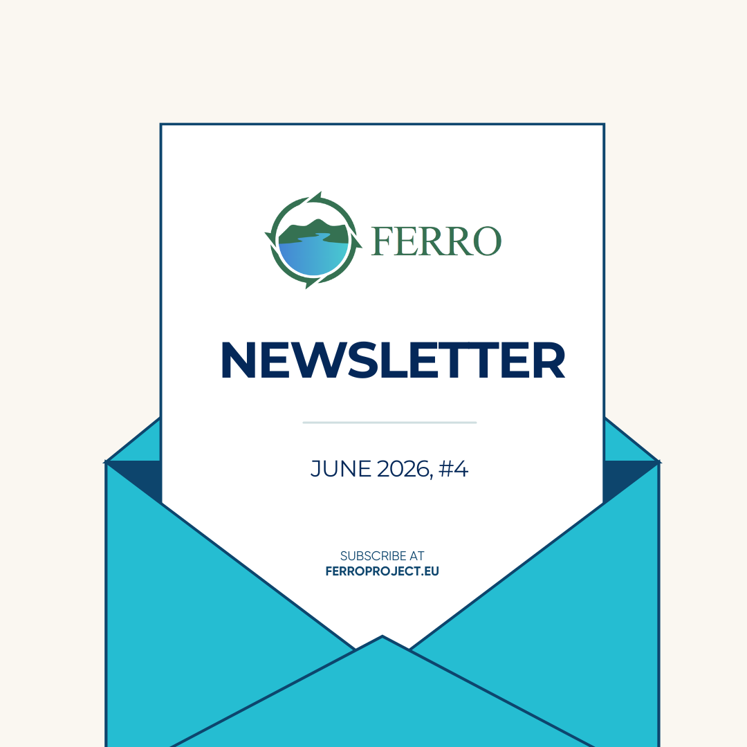 FERRO Newslettwer #4 newsletter cover
